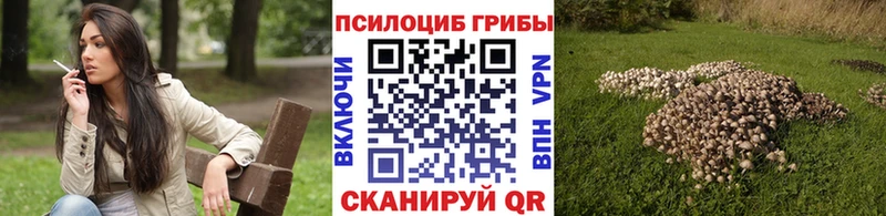 дарк нет состав  Шуя  Псилоцибиновые грибы мухоморы 