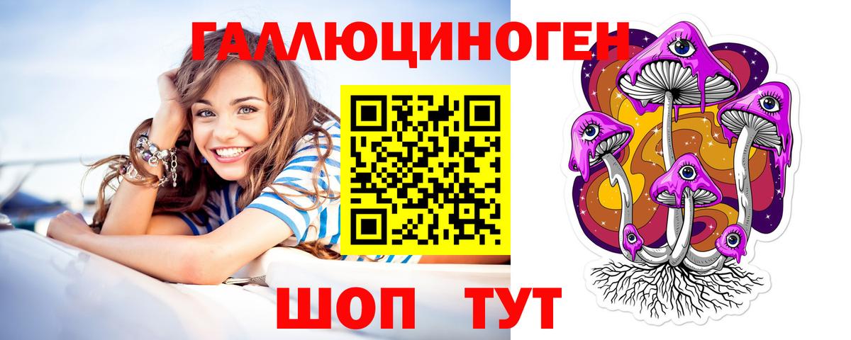 Псилоцибиновые грибы GOLDEN TEACHER Шуя